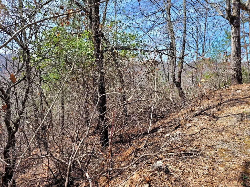 14 Flaming Ridge, Hayesville NC 28904 - Photo