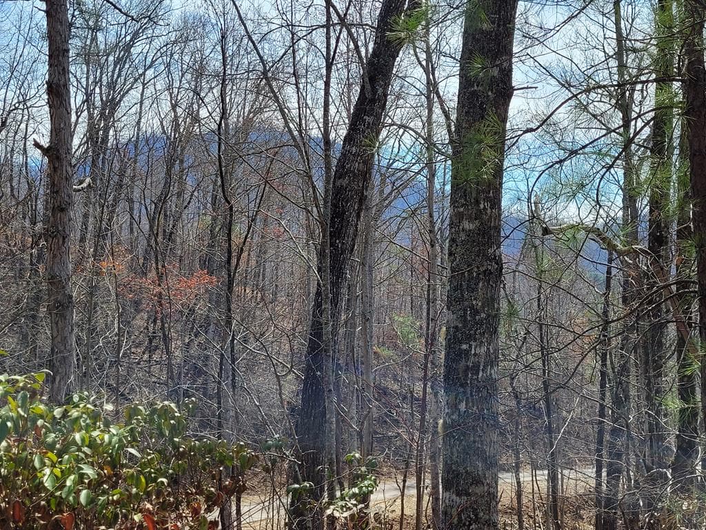 14 Flaming Ridge, Hayesville NC 28904 - Primary photo