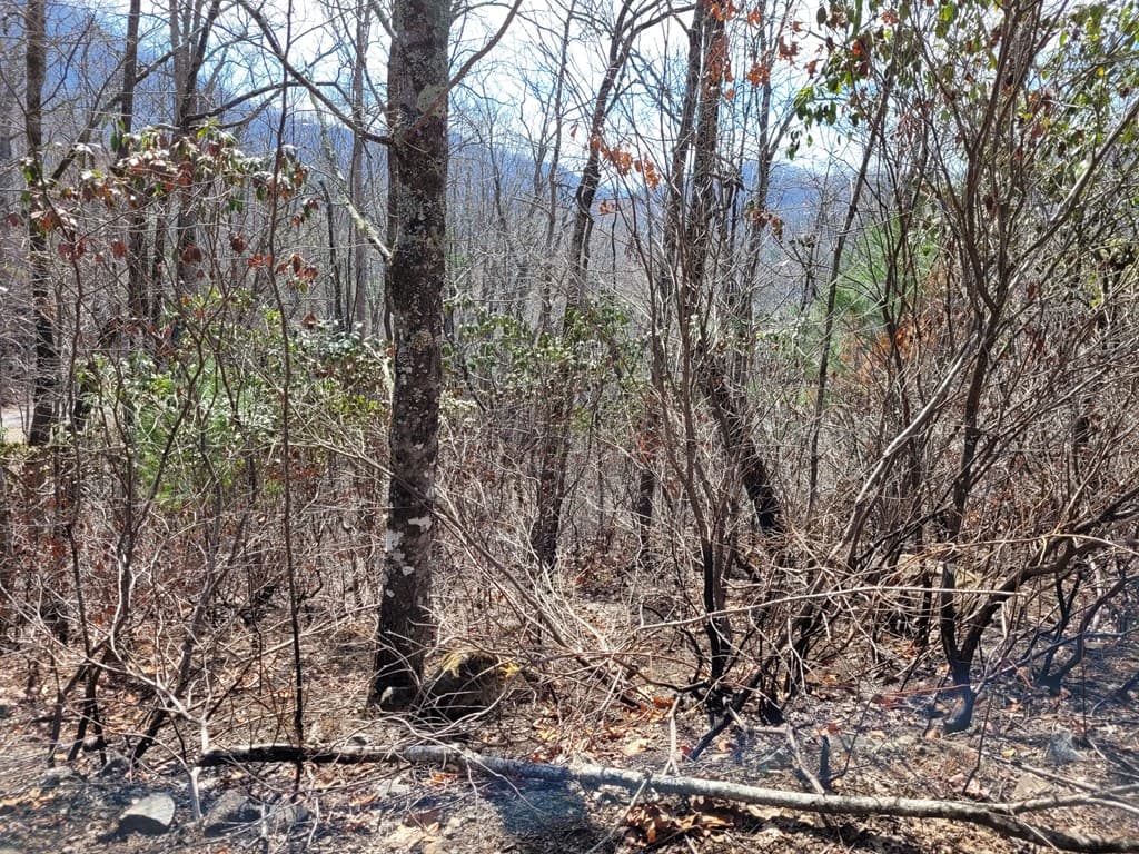 14 Flaming Ridge, Hayesville NC 28904 - Photo