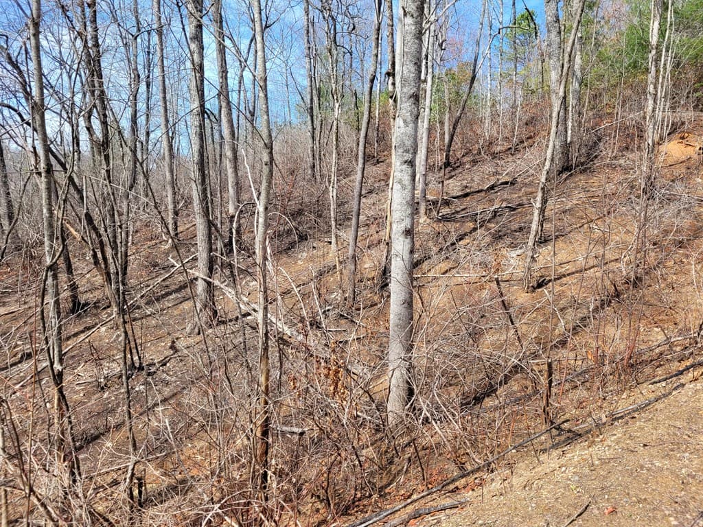14 Flaming Ridge, Hayesville NC 28904 - Photo