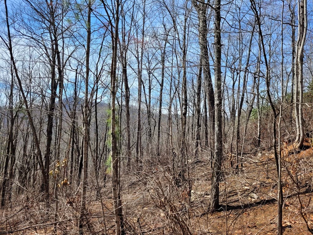 14 Flaming Ridge, Hayesville NC 28904 - Photo