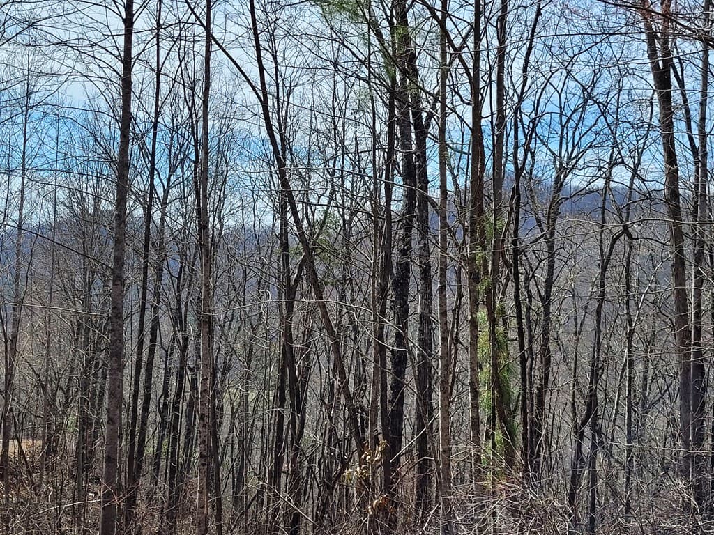 14 Flaming Ridge, Hayesville NC 28904 - Photo