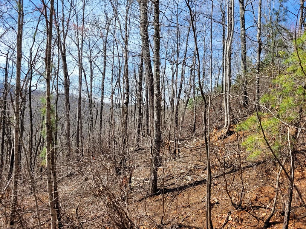 14 Flaming Ridge, Hayesville NC 28904 - Photo
