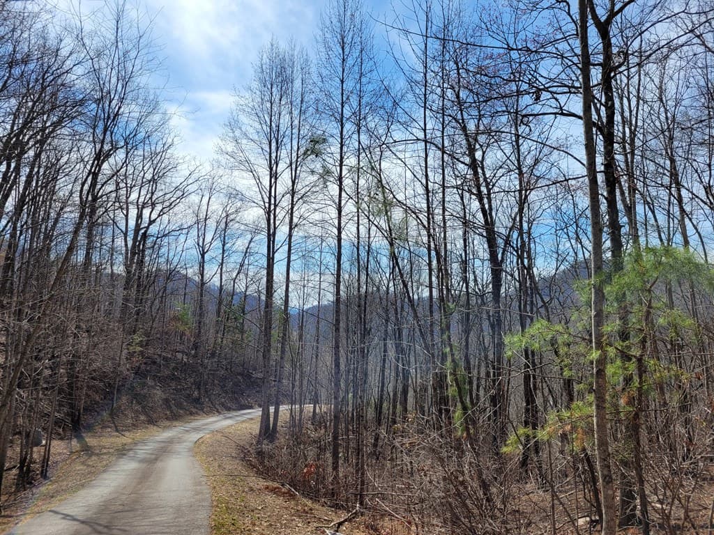 14 Flaming Ridge, Hayesville NC 28904 - Photo