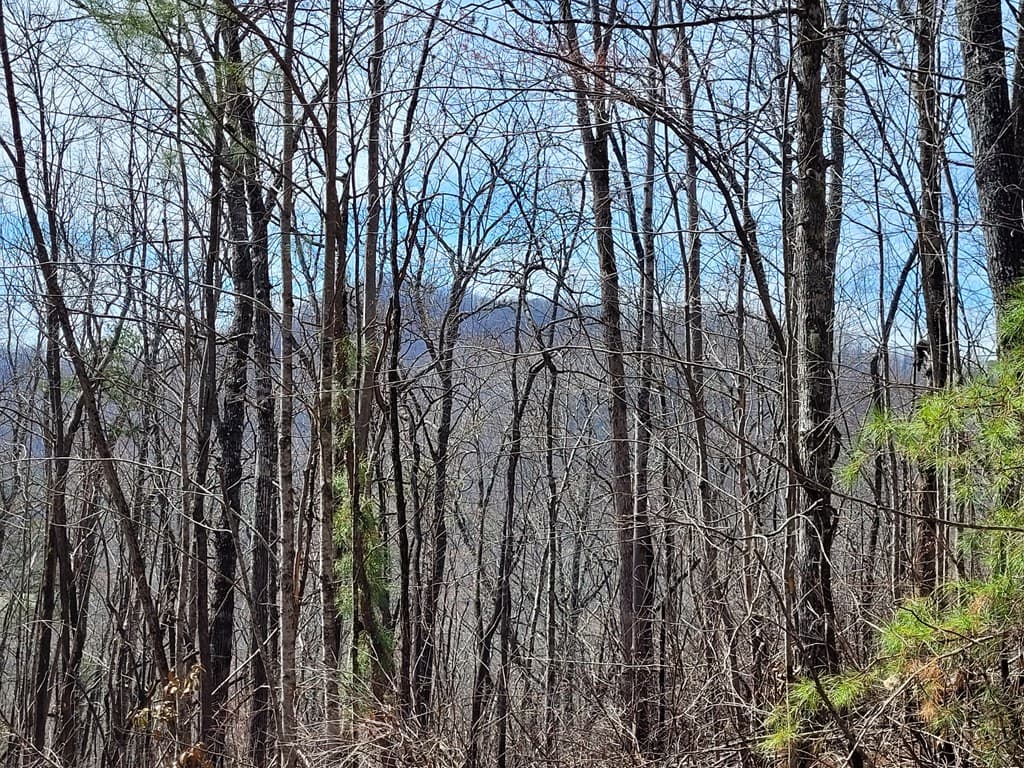 14 Flaming Ridge, Hayesville NC 28904 - Photo