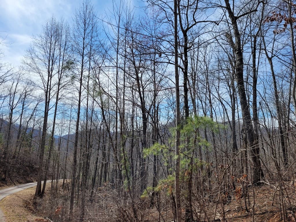 14 Flaming Ridge, Hayesville NC 28904 - Photo