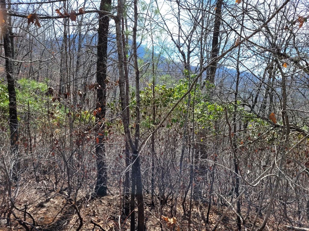 14 Flaming Ridge, Hayesville NC 28904 - Photo