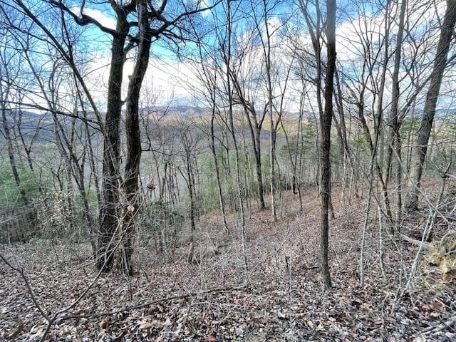 TBD Turkey Walk Drive, Marble NC 28905 - Photo