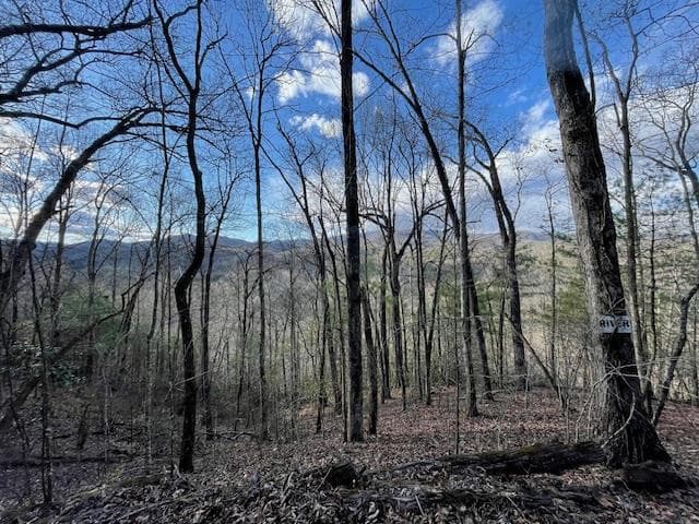 TBD Turkey Walk Drive, Marble NC 28905 - Photo