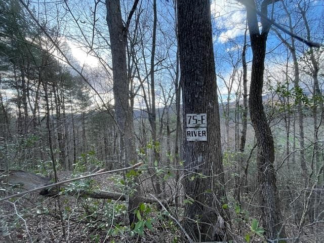 TBD Turkey Walk Drive, Marble NC 28905 - Photo