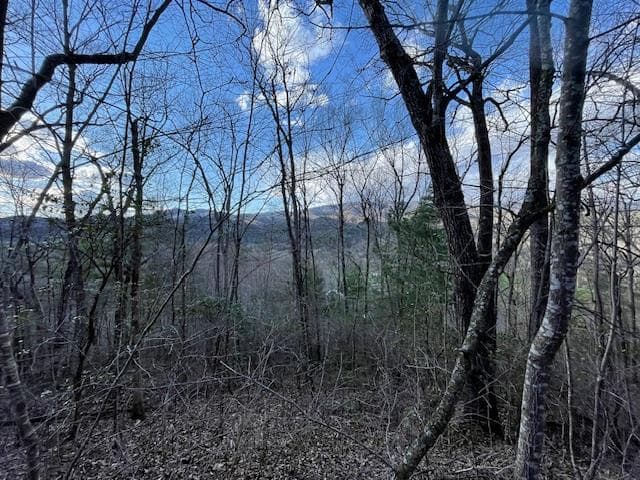 TBD Turkey Walk Drive, Marble NC 28905 - Photo