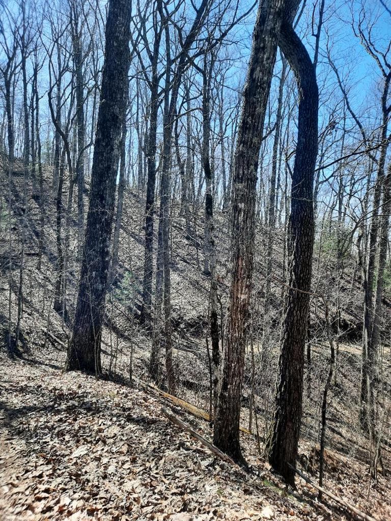 Lot # 7 Quail Run Ridge, Murphy NC 28906 - Photo