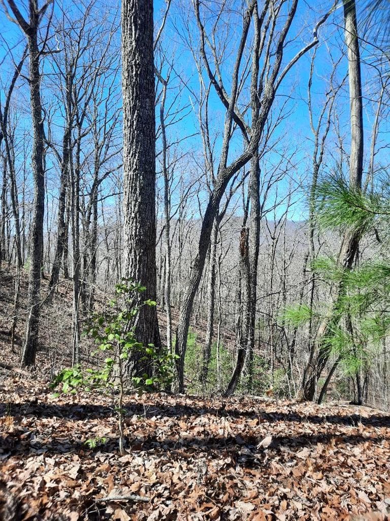 Lot # 7 Quail Run Ridge, Murphy NC 28906 - Photo