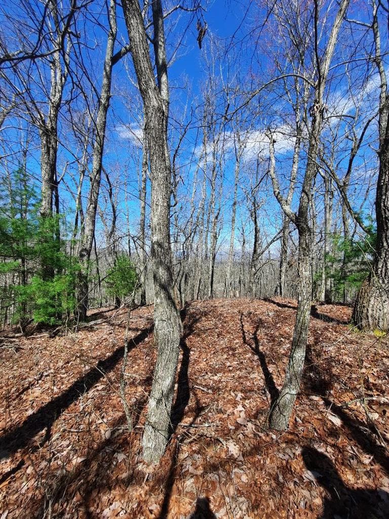 Lot # 7 Quail Run Ridge, Murphy NC 28906 - Photo