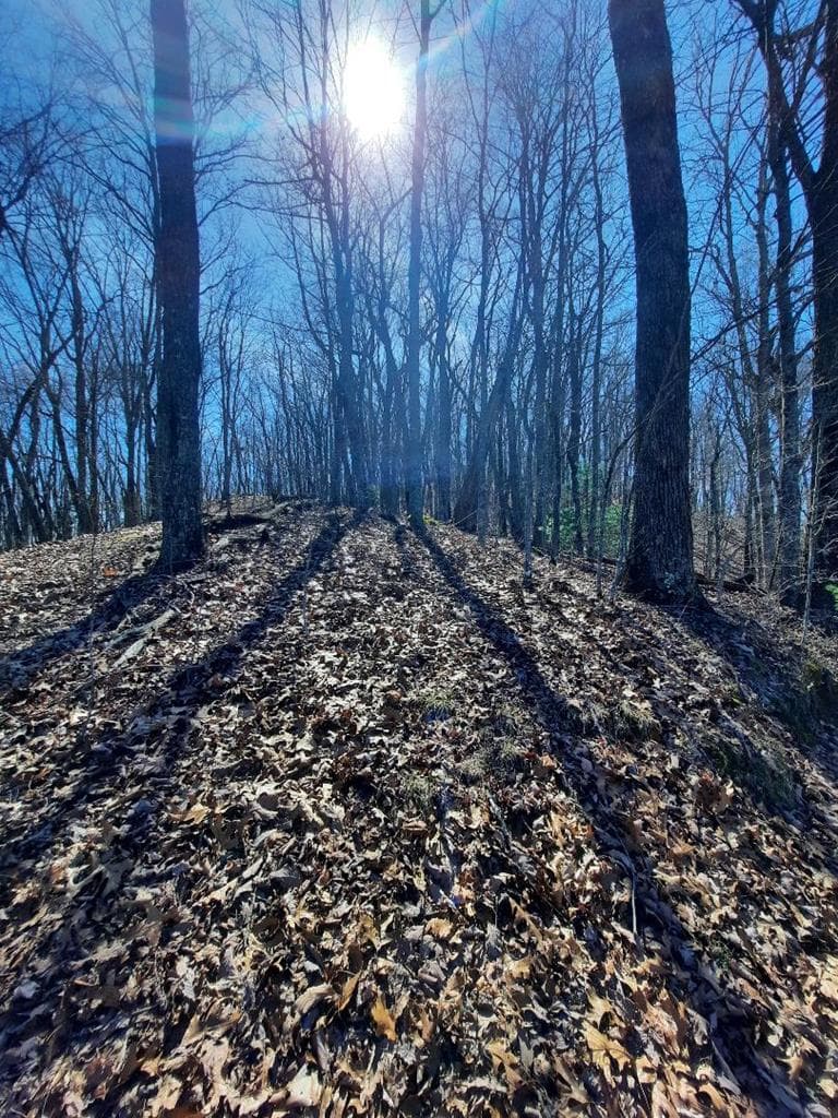 Lot # 7 Quail Run Ridge, Murphy NC 28906 - Photo