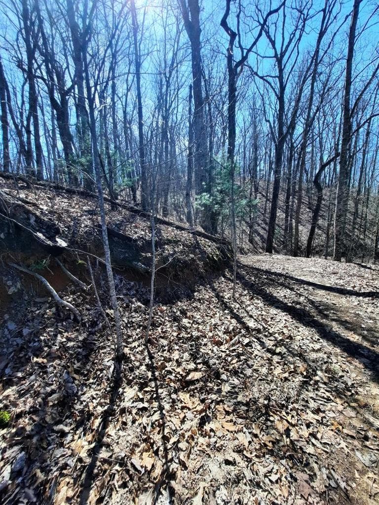 Lot # 7 Quail Run Ridge, Murphy NC 28906 - Photo