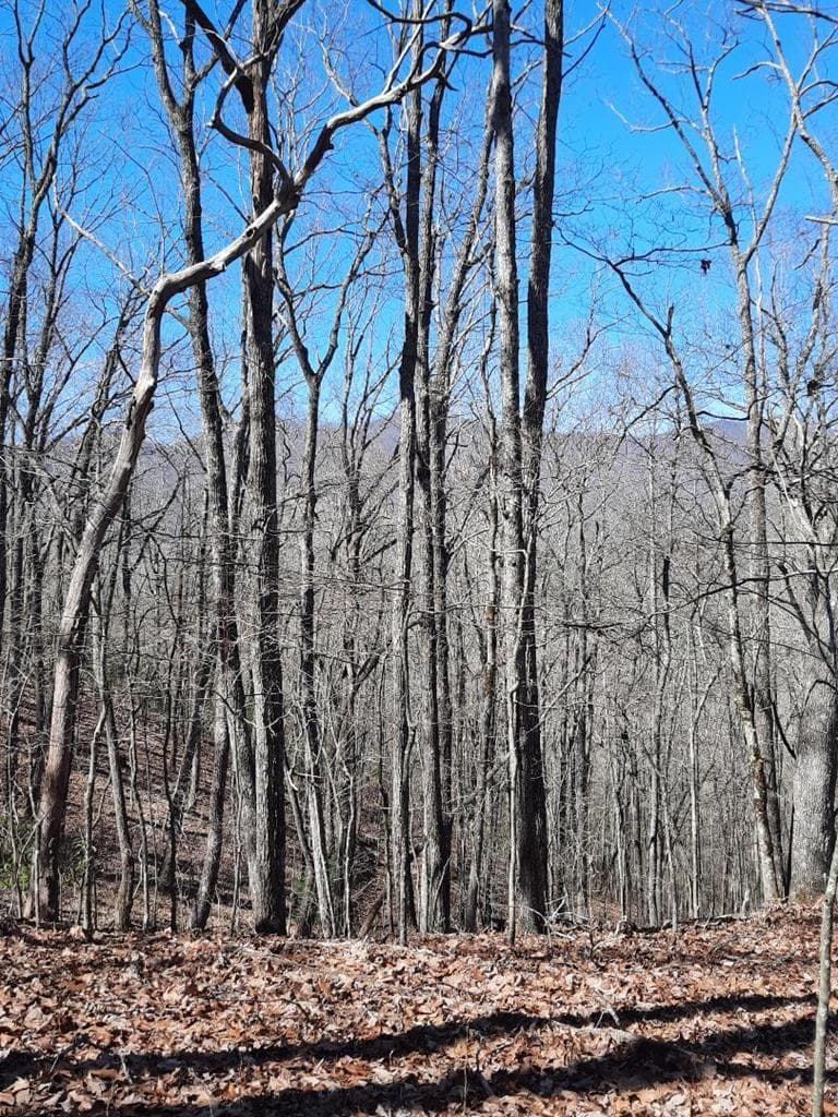 Lot # 7 Quail Run Ridge, Murphy NC 28906 - Photo