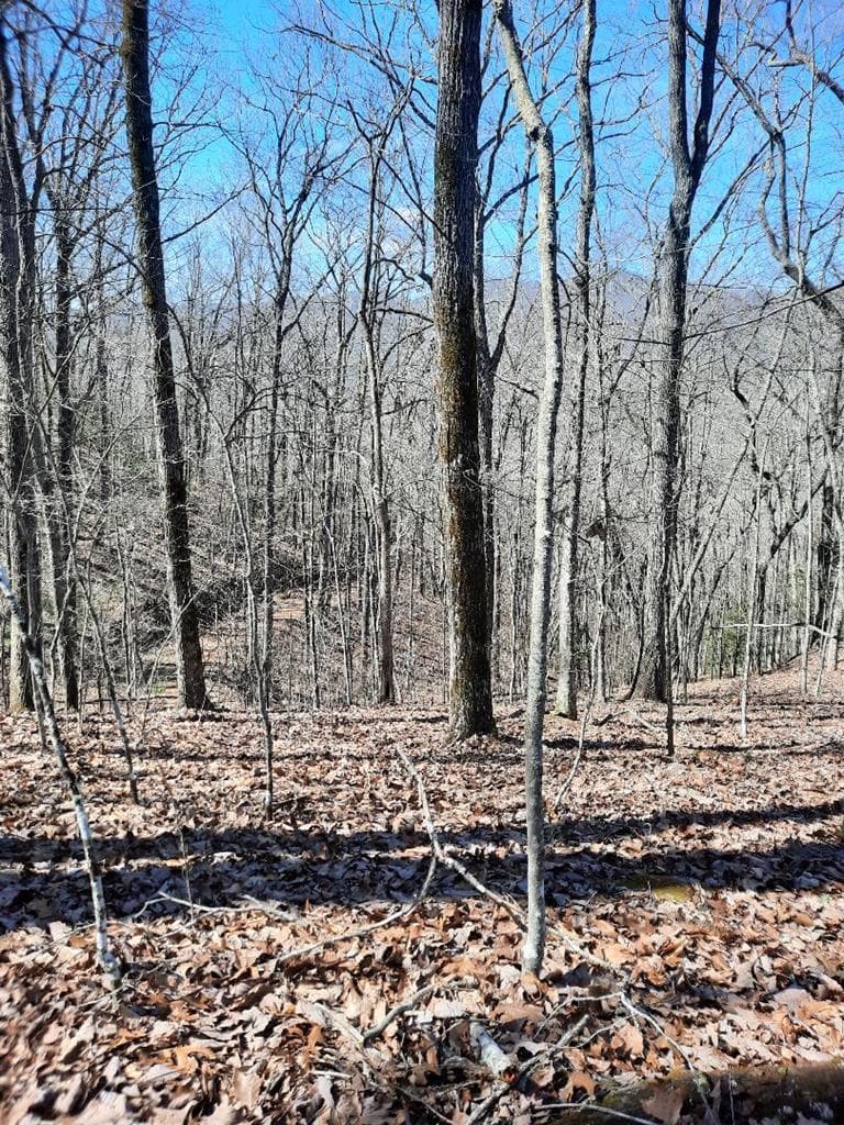 Lot # 7 Quail Run Ridge, Murphy NC 28906 - Photo