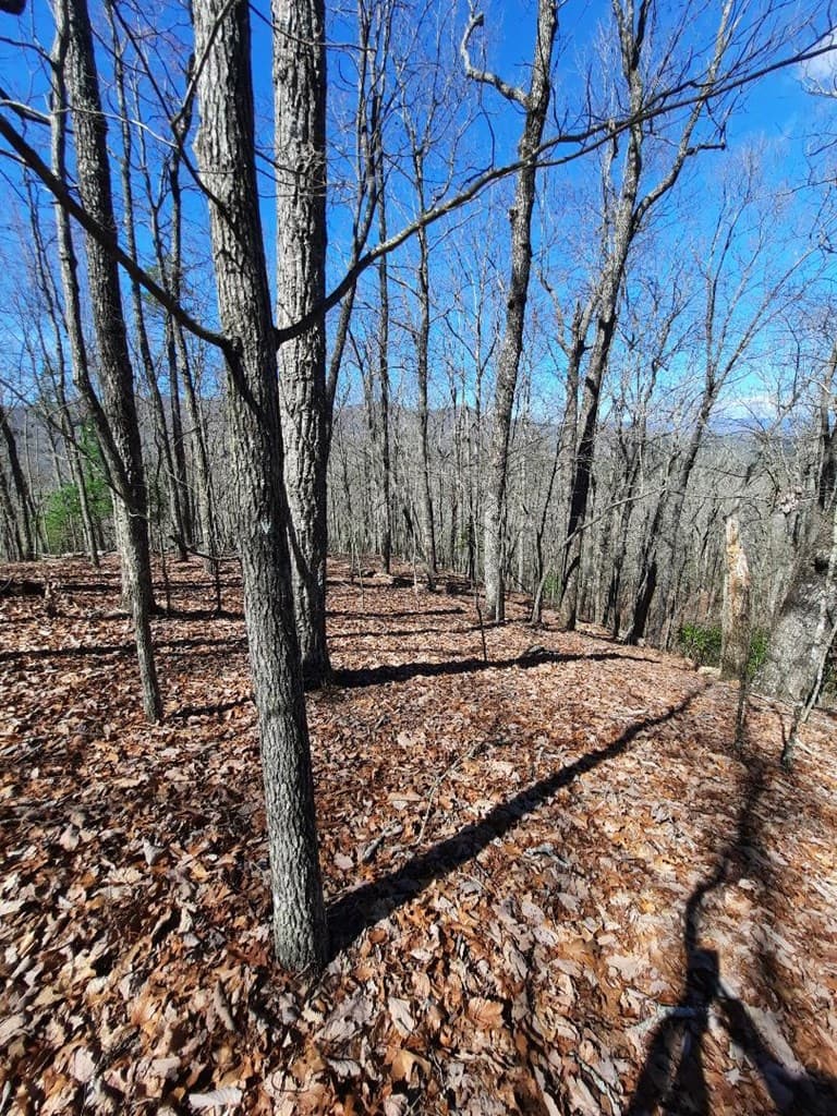 Lot # 7 Quail Run Ridge, Murphy NC 28906 - Photo