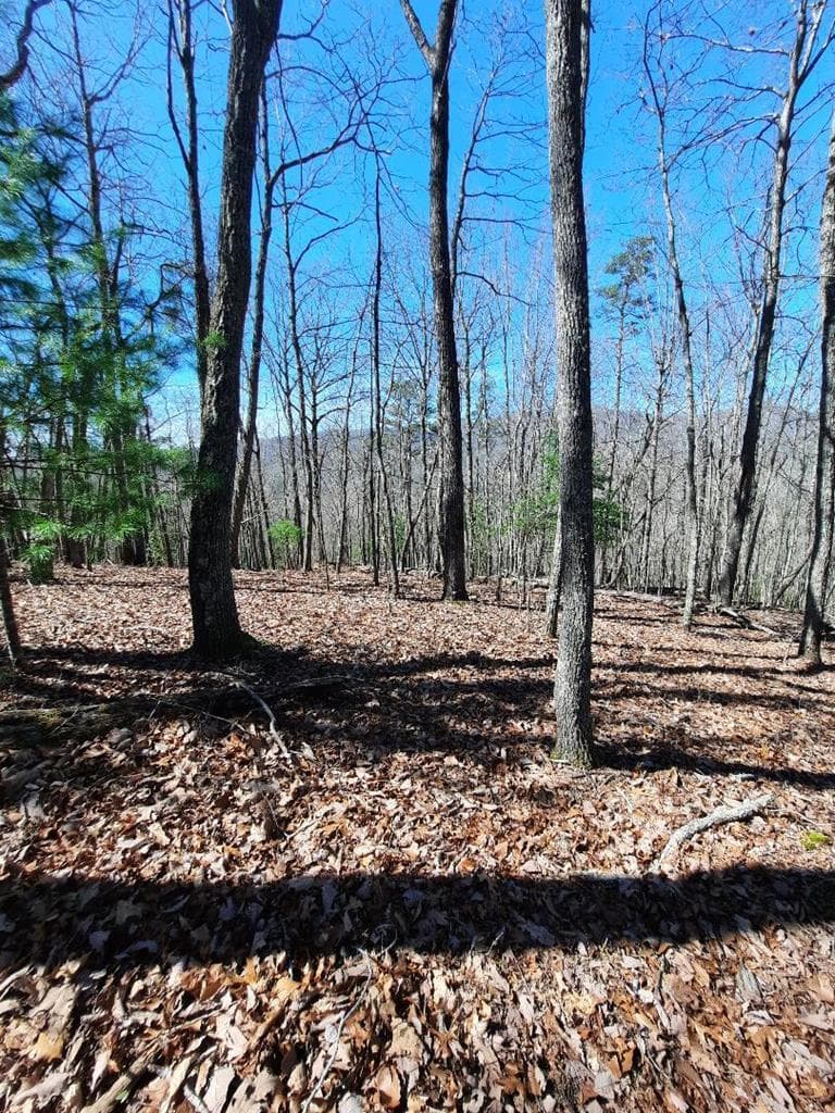 Lot # 7 Quail Run Ridge, Murphy NC 28906 - Photo
