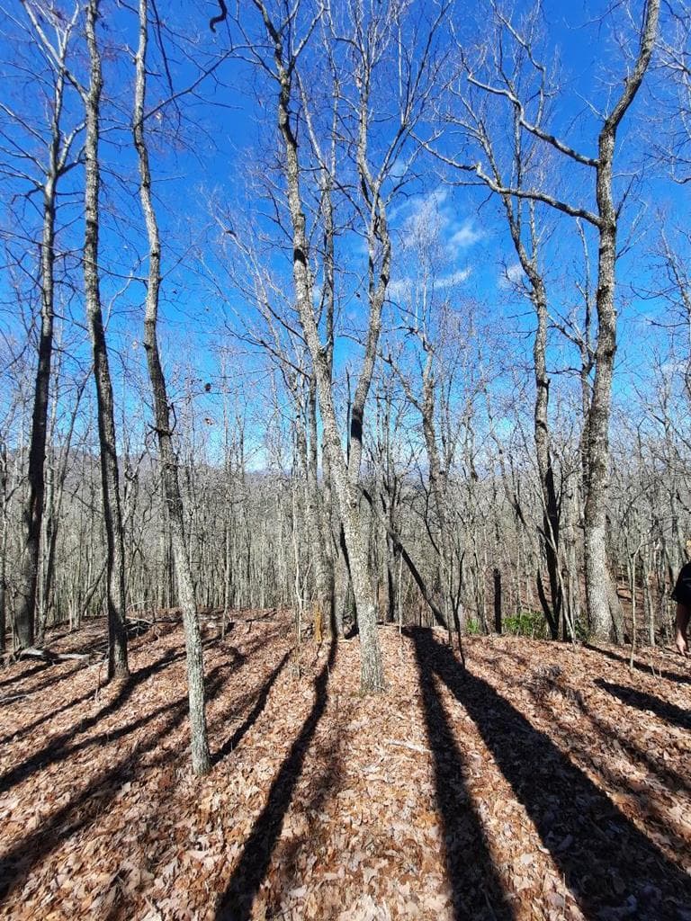 Lot # 7 Quail Run Ridge, Murphy NC 28906 - Primary photo
