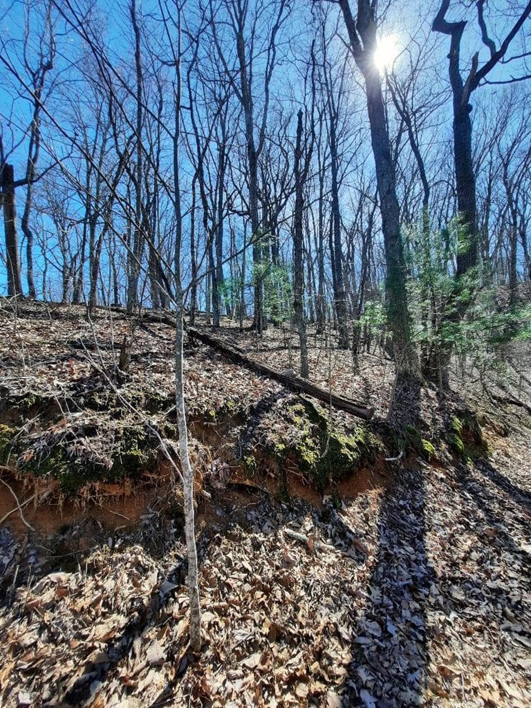Lot # 7 Quail Run Ridge, Murphy NC 28906 - Photo