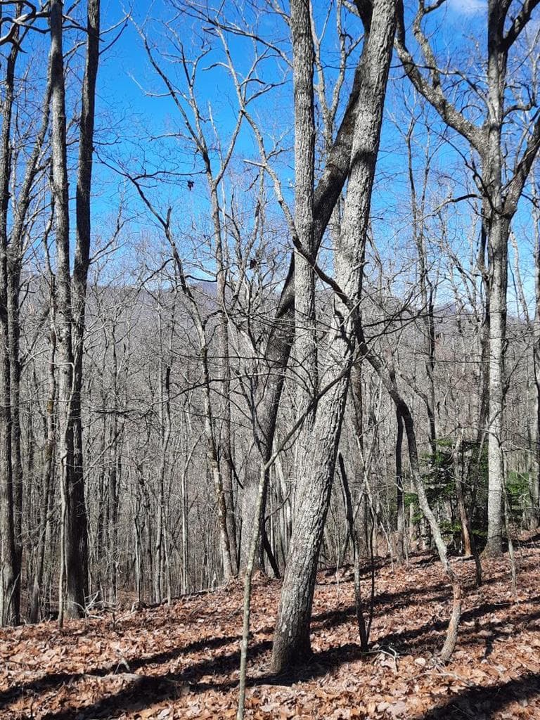 Lot # 7 Quail Run Ridge, Murphy NC 28906 - Photo