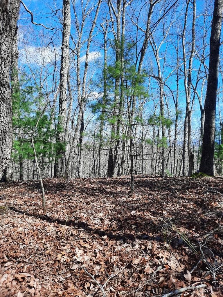Lot # 7 Quail Run Ridge, Murphy NC 28906 - Photo