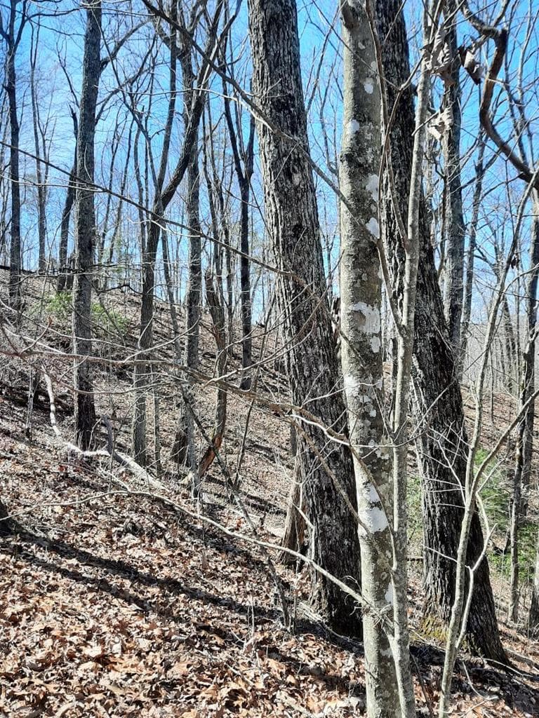 Lot # 7 Quail Run Ridge, Murphy NC 28906 - Photo