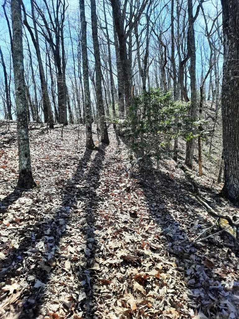 Lot # 7 Quail Run Ridge, Murphy NC 28906 - Photo