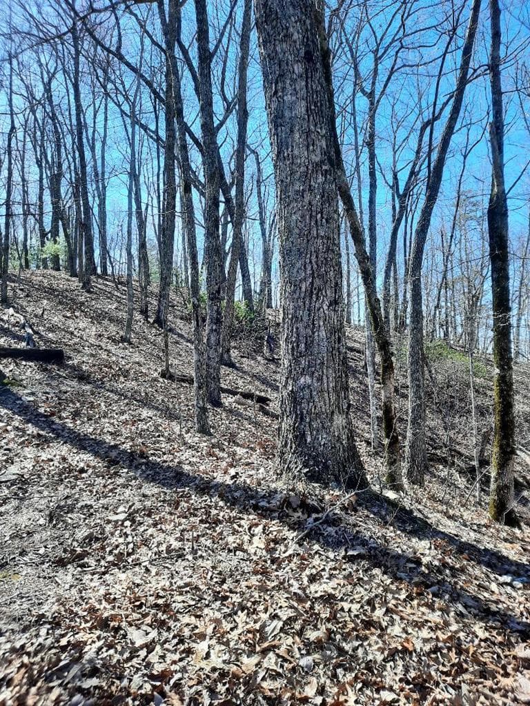 Lot # 7 Quail Run Ridge, Murphy NC 28906 - Photo