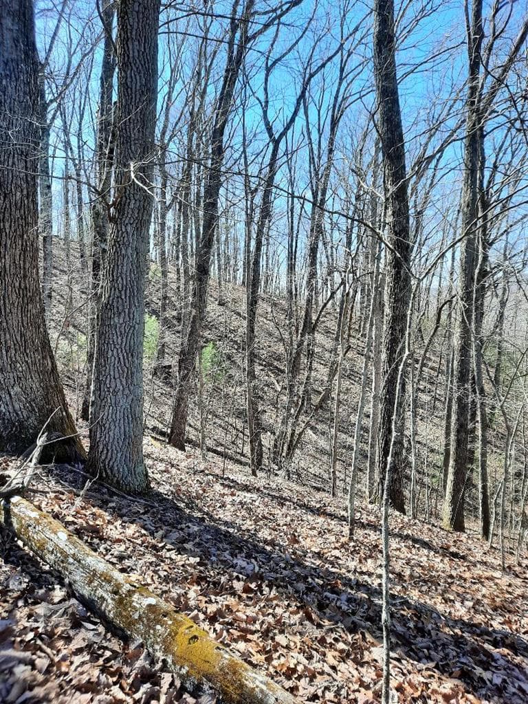 Lot # 7 Quail Run Ridge, Murphy NC 28906 - Photo