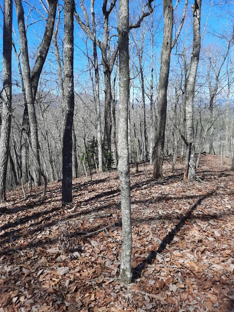 Lot # 7 Quail Run Ridge, Murphy NC 28906 - Photo