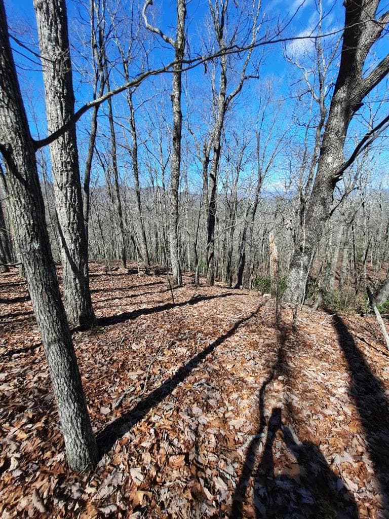 Lot # 7 Quail Run Ridge, Murphy NC 28906 - Photo