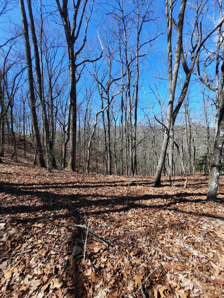 Lot # 7 Quail Run Ridge, Murphy NC 28906 - Photo