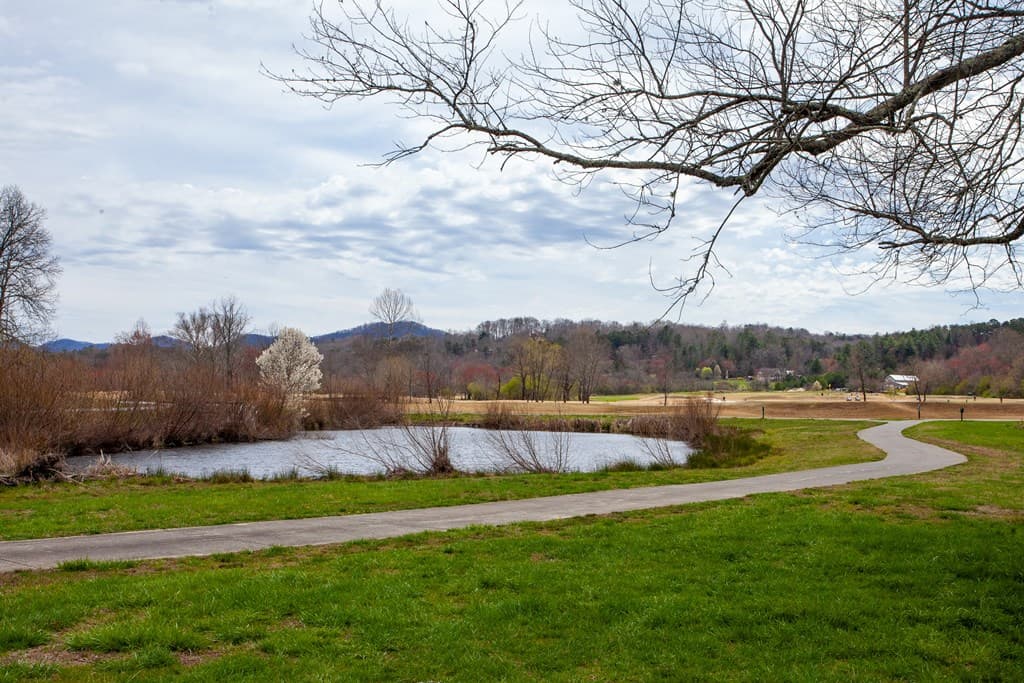 00 Yonah Way, Blairsville GA 30512 - Photo