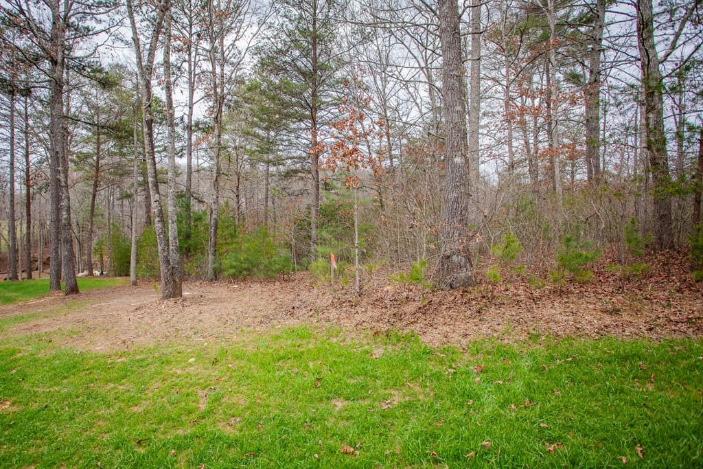 00 Yonah Way, Blairsville GA 30512 - Photo