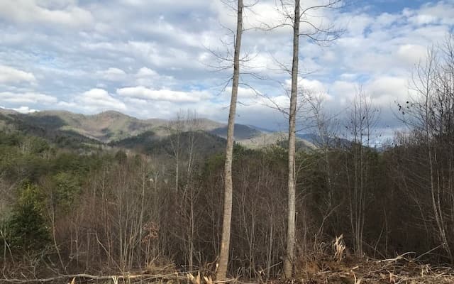 B Sweetwater Bend Drive, Hayesville NC 28904 - Photo