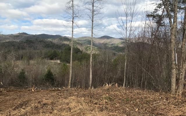 B Sweetwater Bend Drive, Hayesville NC 28904 - Primary photo