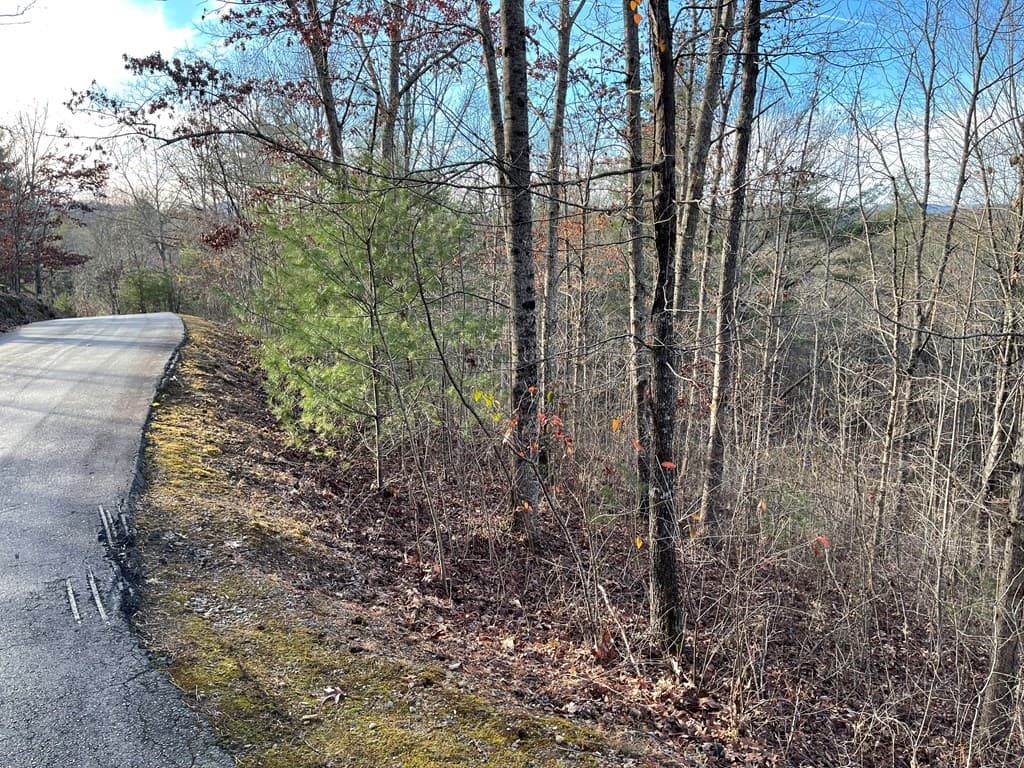 Lot 59C Mountain Harbour Lot, Hayesville NC 28904 - Photo