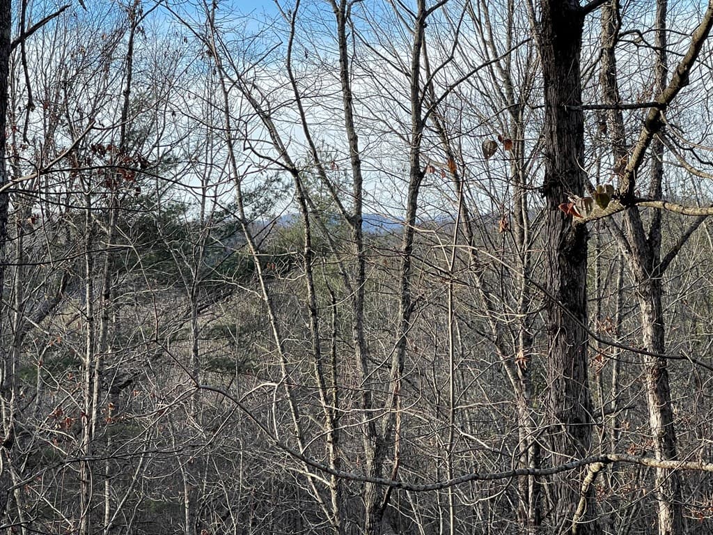 Lot 59C Mountain Harbour Lot, Hayesville NC 28904 - Photo