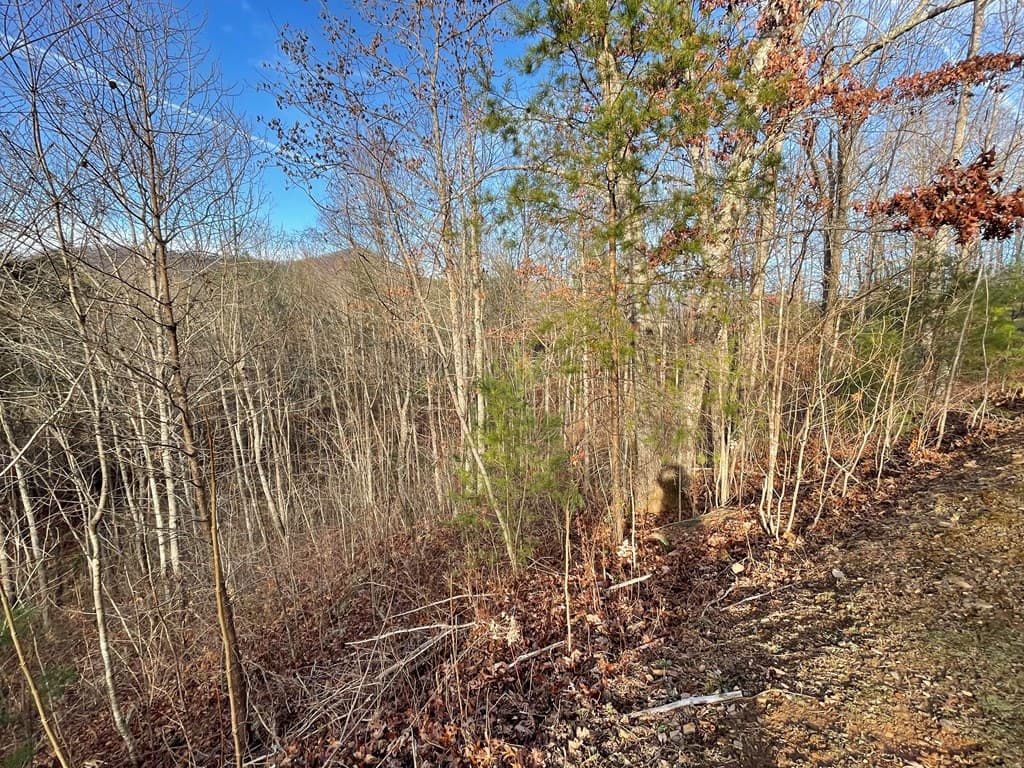 Lot 59C Mountain Harbour Lot, Hayesville NC 28904 - Photo
