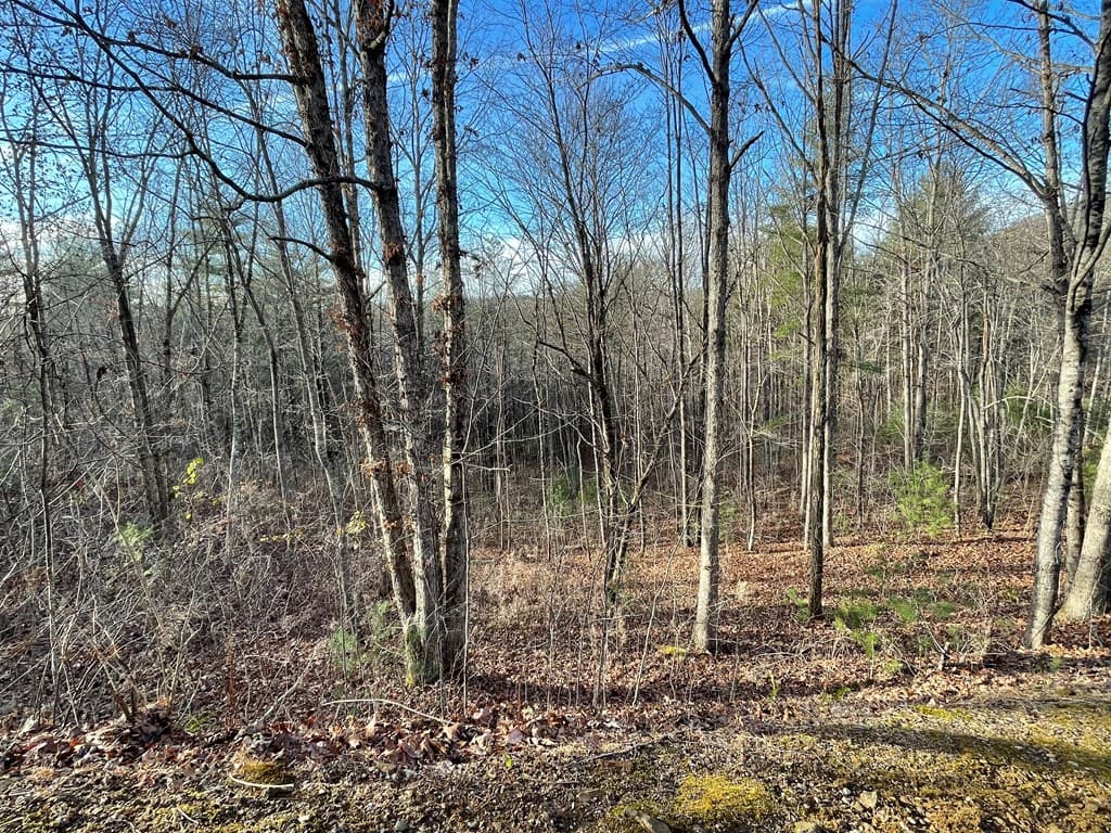 Lot 59C Mountain Harbour Lot, Hayesville NC 28904 - Photo