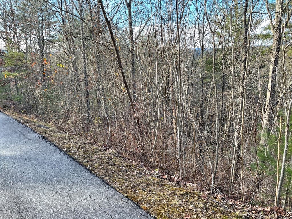 Lot 59C Mountain Harbour Lot, Hayesville NC 28904 - Photo