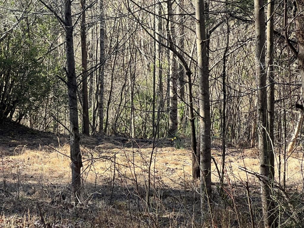 Lot 59C Mountain Harbour Lot, Hayesville NC 28904 - Primary photo