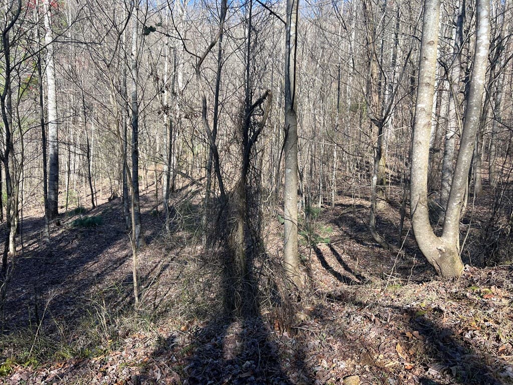 Lot 59C Mountain Harbour Lot, Hayesville NC 28904 - Photo