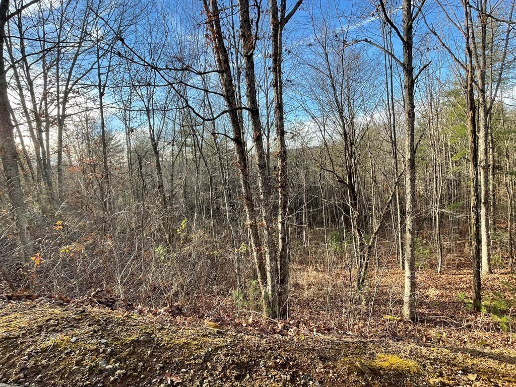 Lot 59C Mountain Harbour Lot, Hayesville NC 28904 - Photo