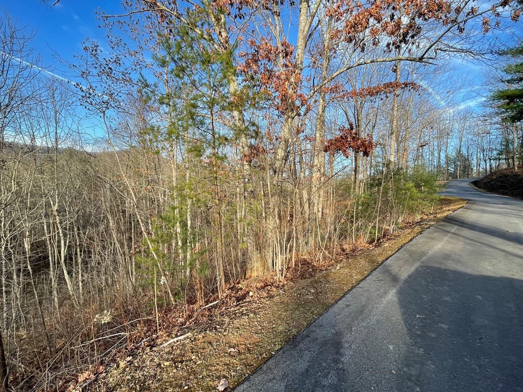 Lot 59C Mountain Harbour Lot, Hayesville NC 28904 - Photo