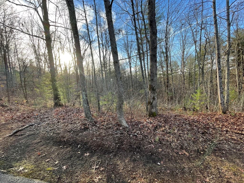 Lot 59C Mountain Harbour Lot, Hayesville NC 28904 - Photo