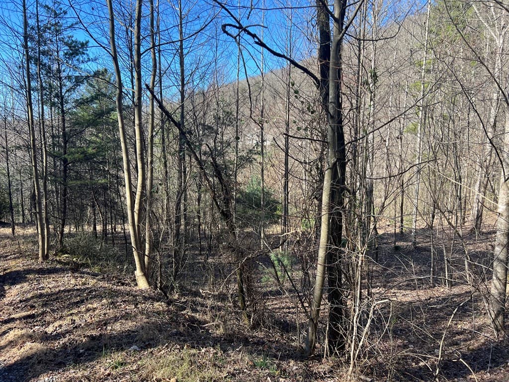 Lot 59C Mountain Harbour Lot, Hayesville NC 28904 - Photo